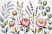 paint watercolor flowers and botanical illustrations