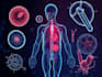 draw professional medical illustrations
