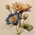 create a botanical illustration