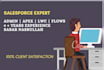fix salesforce crm issues, create flows, and build apex triggers