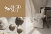 design corporate brand style guide and logo design