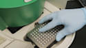 become your expert in qpcr, ddpcr, and elisa method development and validation