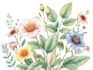 illustrate best botanical illustration