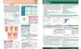 design professional and visually appealing academic research posters