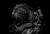 draw dark art animal illustration