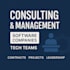 business and IT strategy consulting, software project management