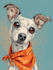 create an disney pet portrait illustration