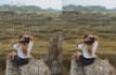 remove and add any objects and watermark and can retouch