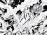 draw professional custom manga page