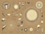 do detailed scientific figures illustrations and diagrams