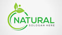 design modern luxury natural logo