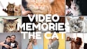 edit cute and emotional pet video