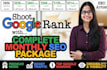 do technical onpage seo service for squarespace website, wordpress and shopify