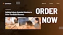 develop a custom ecommerce website with dashboard