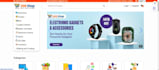develop professional web application with admin panel