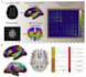 analyze your biomedical data
