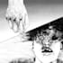 illustrate your next comicbook and graphic novel