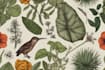 draw an animal and botanical illustration