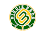 do professional creative golf club logo