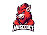 design an awesome mascot logo