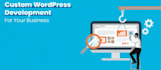 enlarge custom business website or freelance marketplace, wordpress development