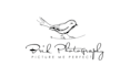 professional illustrations and logo designs
