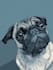 design a custom disney pet portrait illustration