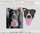 do perfect embroidery digitizing pes,dst,emb