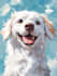 draw disney pet portrait