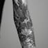 create a detailed black and white tattoo illustration