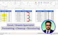 professionally format and standardize your excel data