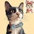 create amazing disney pet portrait