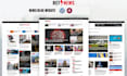 create and redesign wordpress news, blog or business website