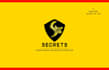 design a stunning logo