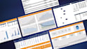 deliver a professional financial model