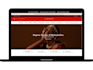 build rebuild wordpress website with elementor pro