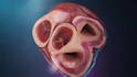 create realistic 3d surgical and anatomy animation, scopic vision