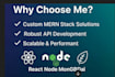 develop a modern mern stack website