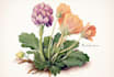 draw an unique botanical illustration
