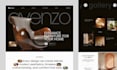 design and develop webflow website with animation