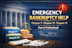 complete your chapter 11 bankruptcy filing package