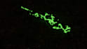 bring your skin ideas to cs2 in the blink of an eye