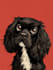 draw pet portrait with disney style