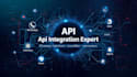 boomi abha snowflake whatsapp API setup and wati chatbot integration expert
