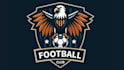 create creative and good looking eagle logo design