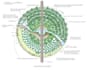 create a professional permaculture design for your landscape