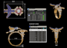 do 3d jewelry designing work