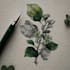 do realistic botanical illustration