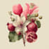 illustrate best botanical illustration