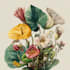 desing your ideal botanical illustration